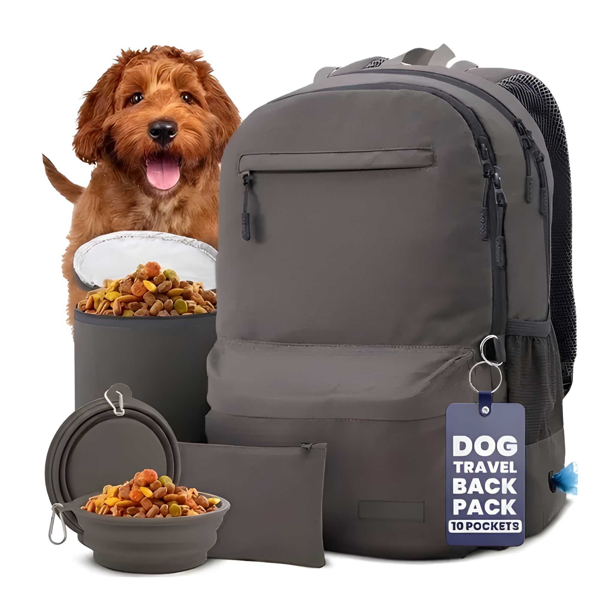 Dog Travel Backpack