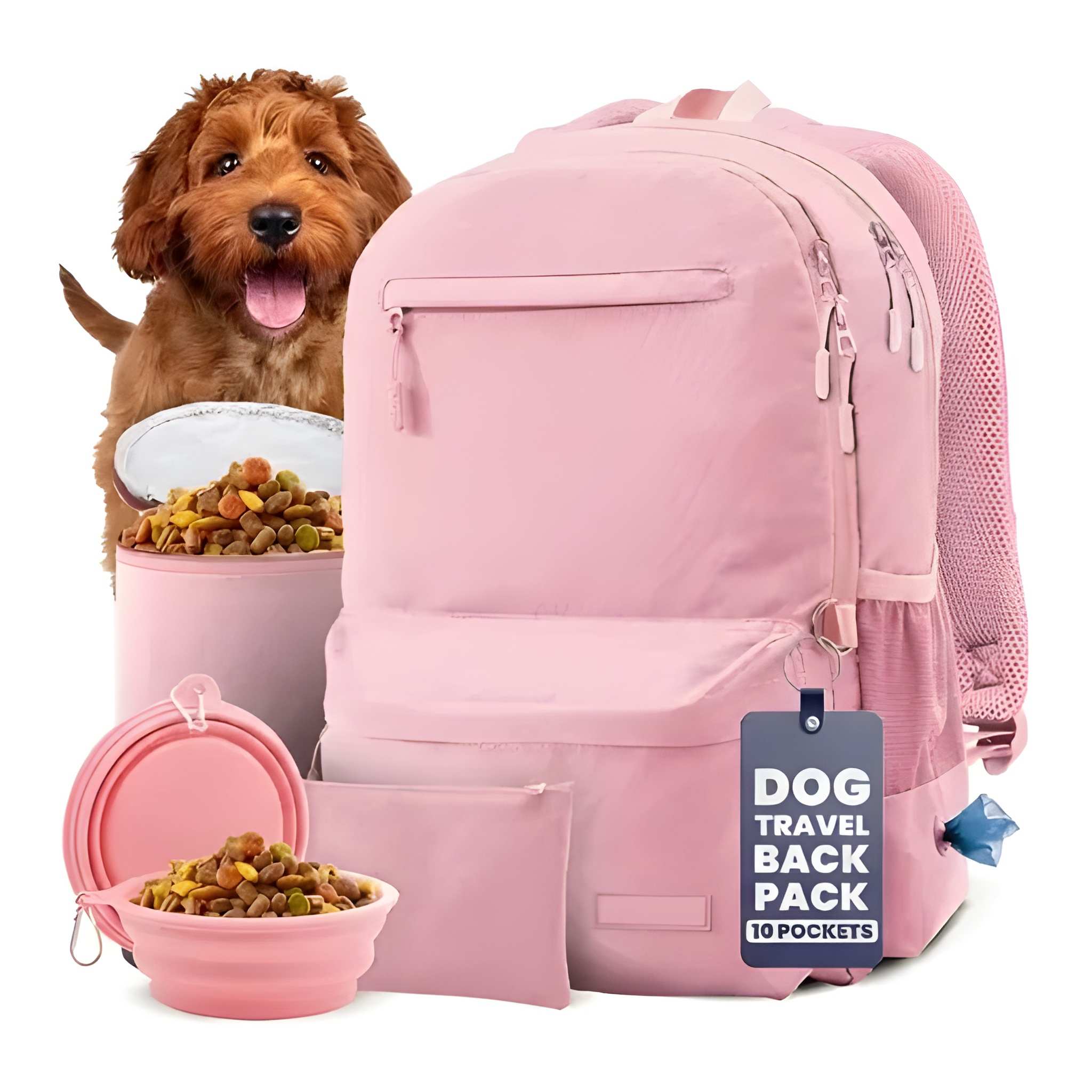 Dog Travel Backpack