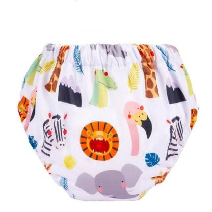 Reusable Cotton Cloth Diapers-Diaper Reusable