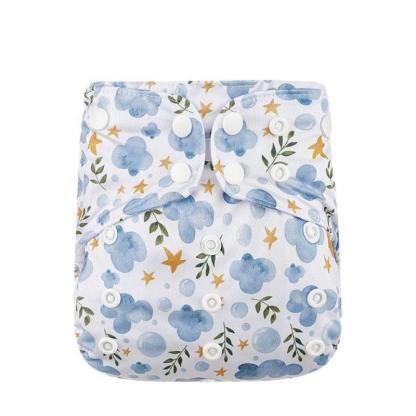Heavy Wetter Cloth Diaper-Diaper Reusable