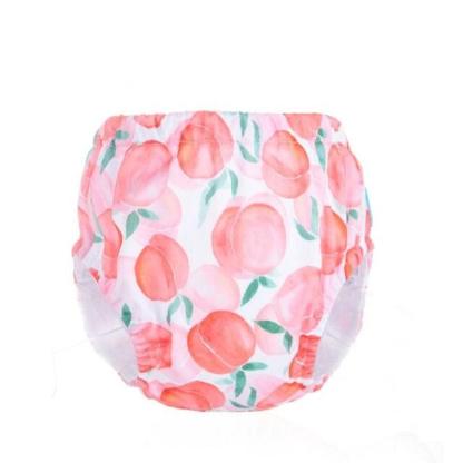 Reusable Cotton Cloth Diapers-Diaper Reusable
