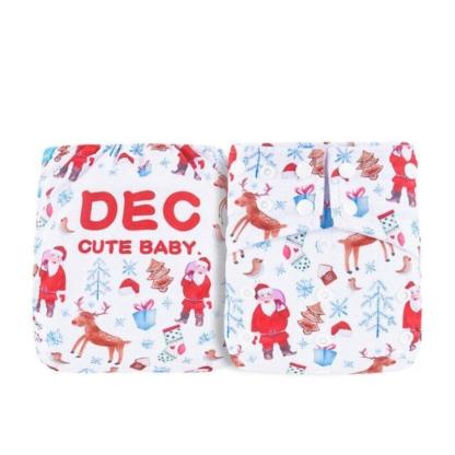 Reusable Eco Cloth Diaper-Diaper Reusable