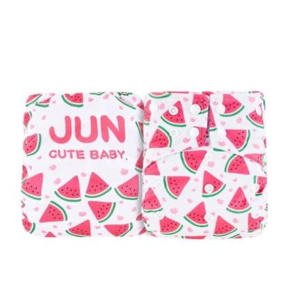 Reusable Eco Cloth Diaper-Diaper Reusable