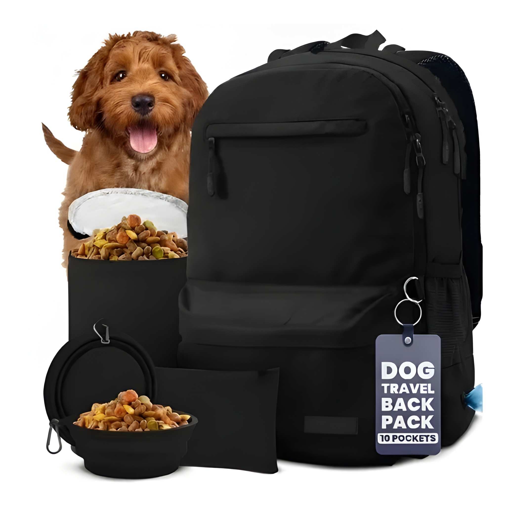 Dog Travel Backpack