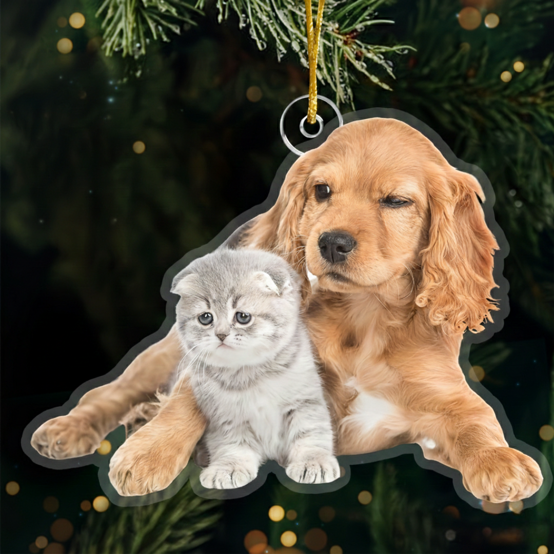 Custom Acrylic Photo Decoration