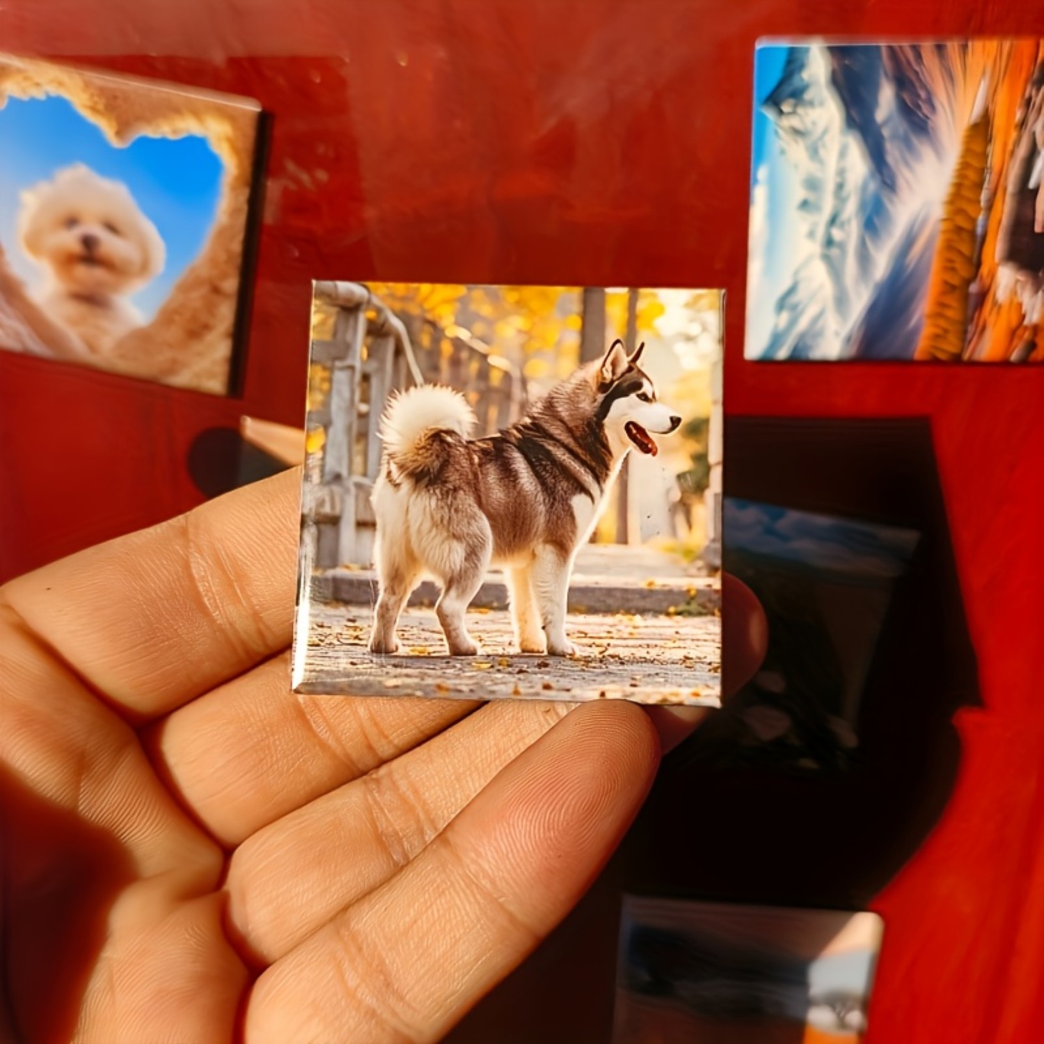 Customized Photo Fridge Magnets