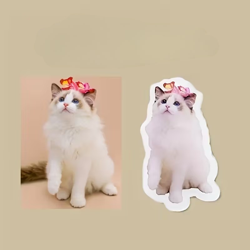 Personalized Acrylic Fridge Magnets with Pet Photos