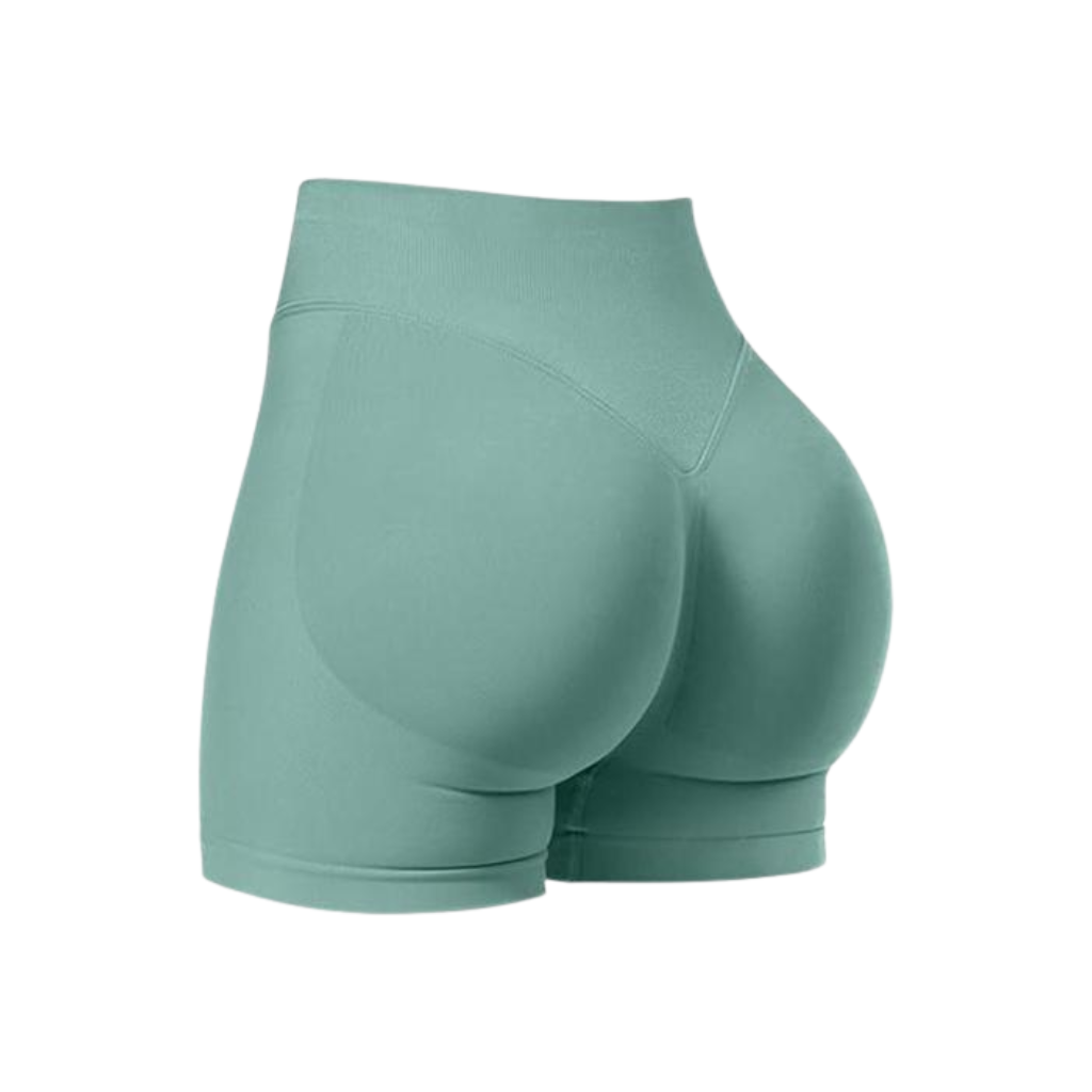 Pack Of 5 Comfortable And Seamless Stretchable Fitness Shorts For Women
