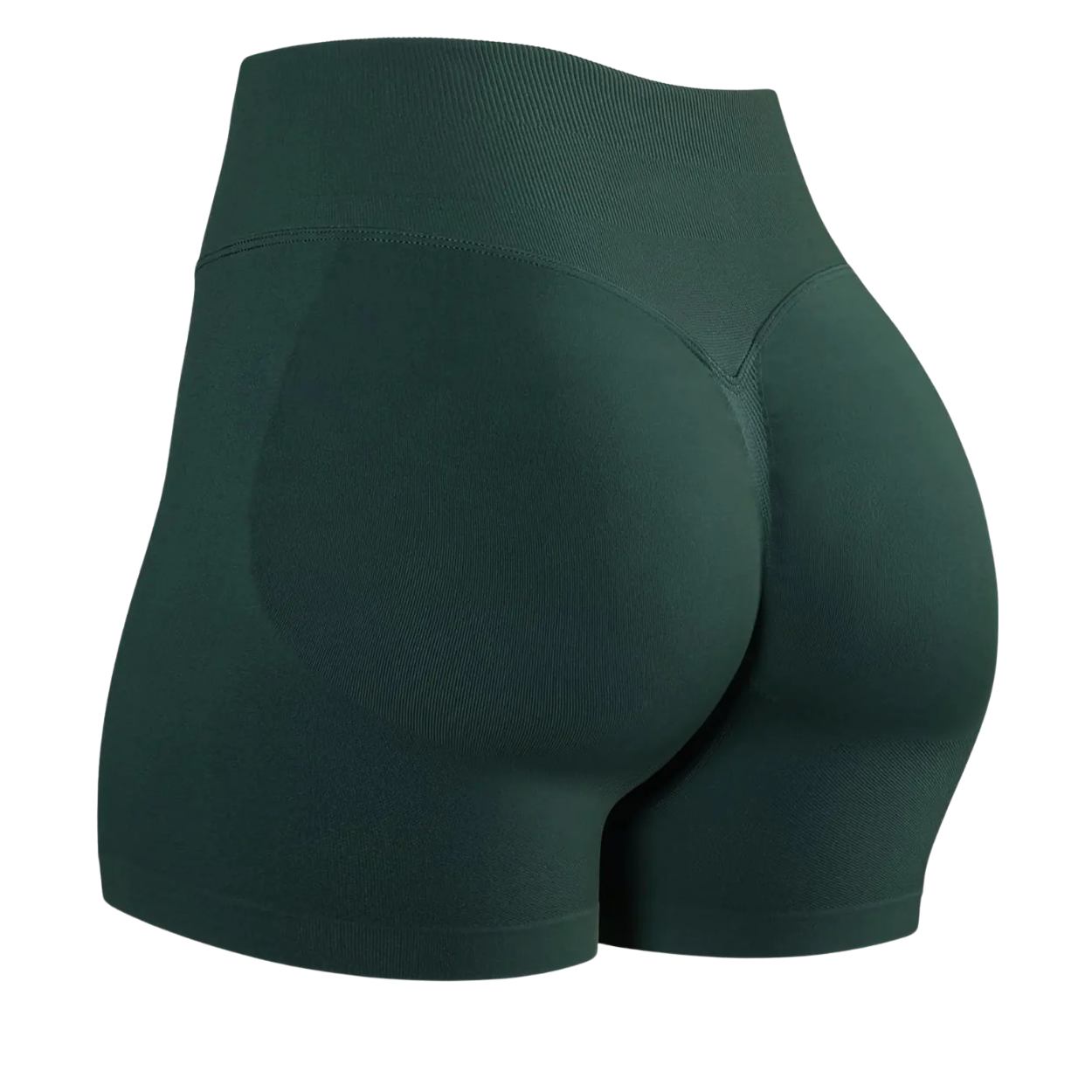 Comfortable And Seamless Stretch Fitness Shorts For Women