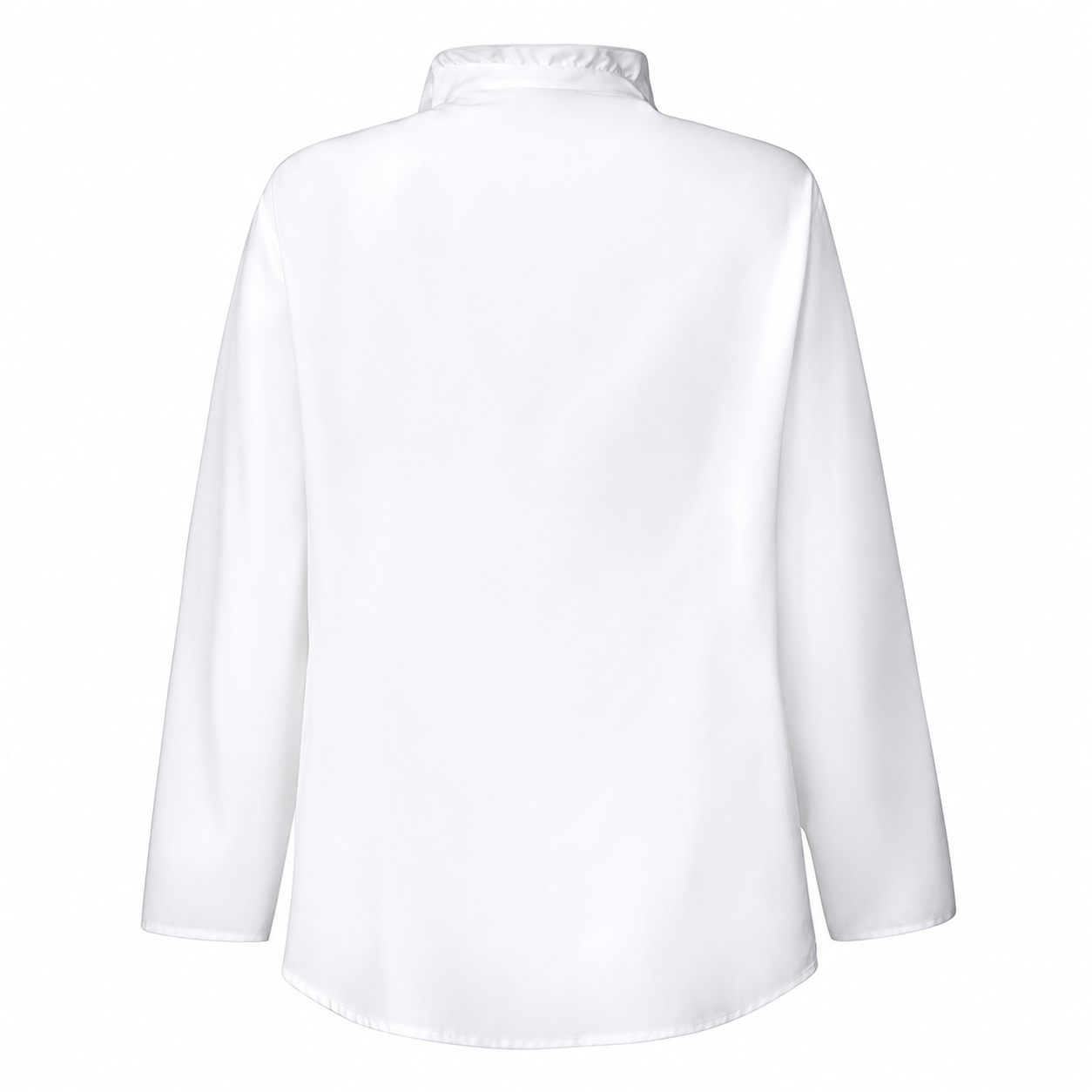 Ruffle Trim Button Front Long Sleeve Top with Tailored Workwear Style for Women