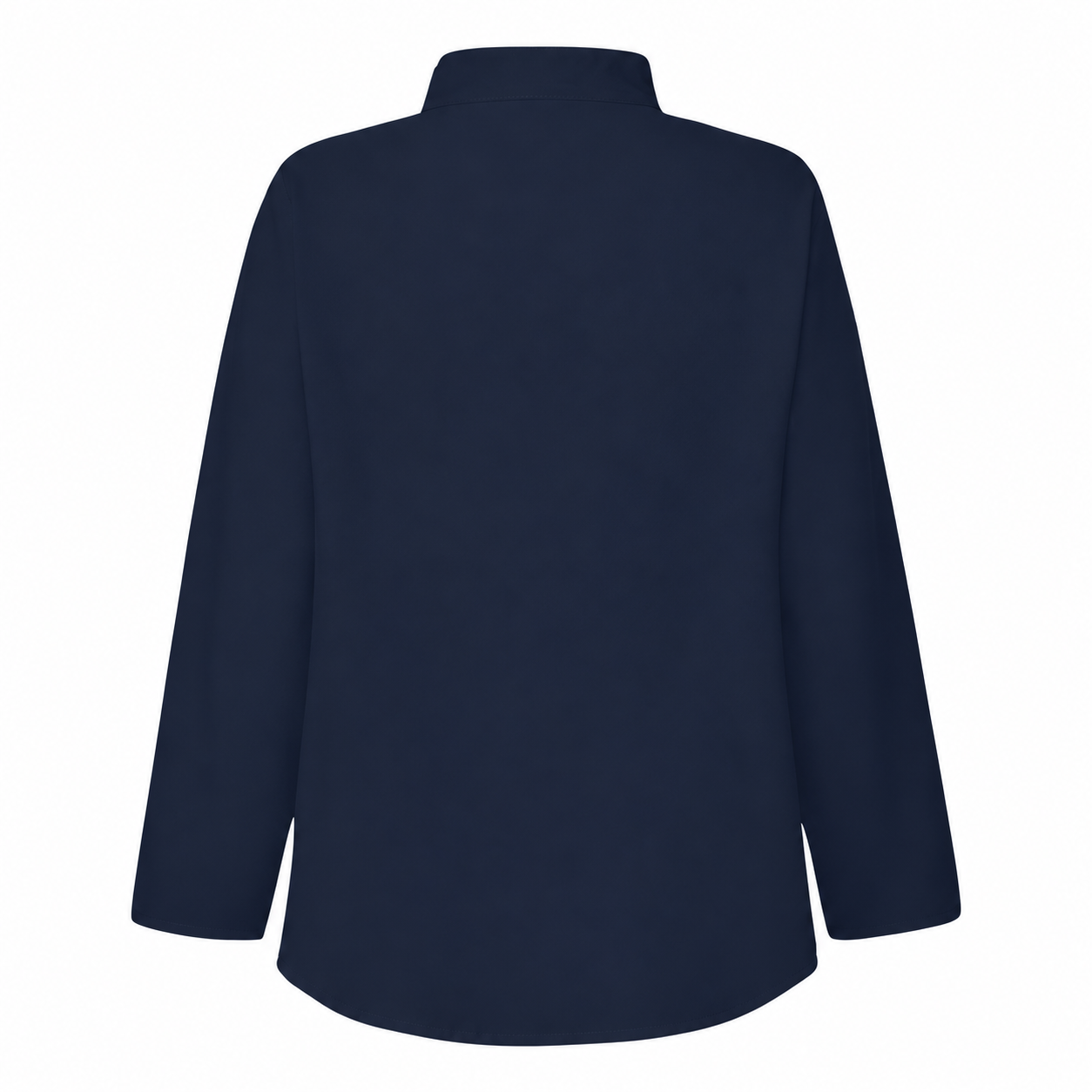 Ruffle Trim Button Front Long Sleeve Top with Tailored Workwear Style for Women