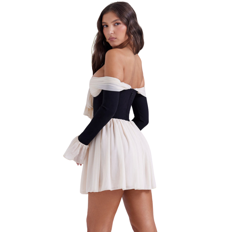 Laced Mini Flared Dress-My Comfy Blouse