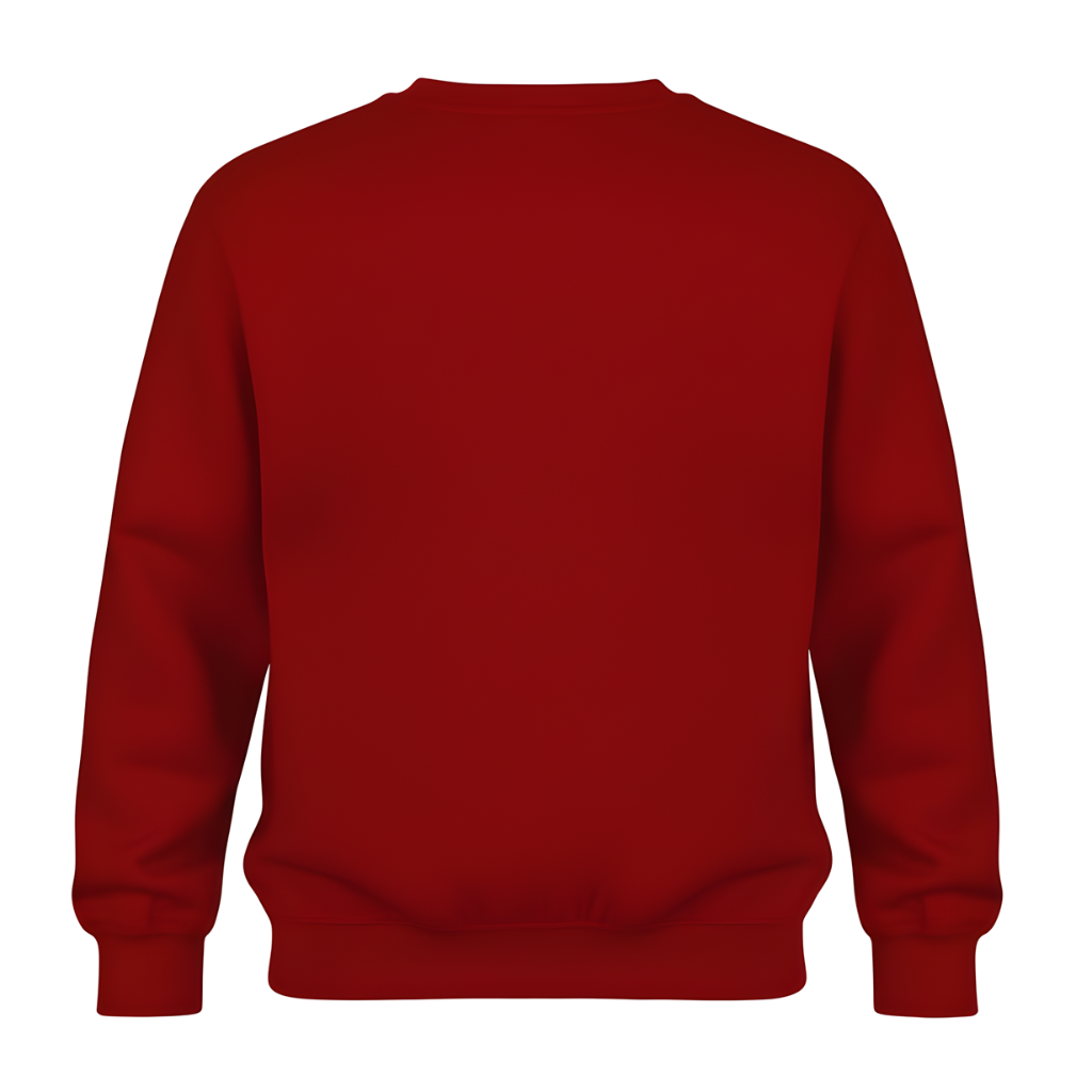 Santa And Gift Truck Print Cozy Sweatshirt For Boys