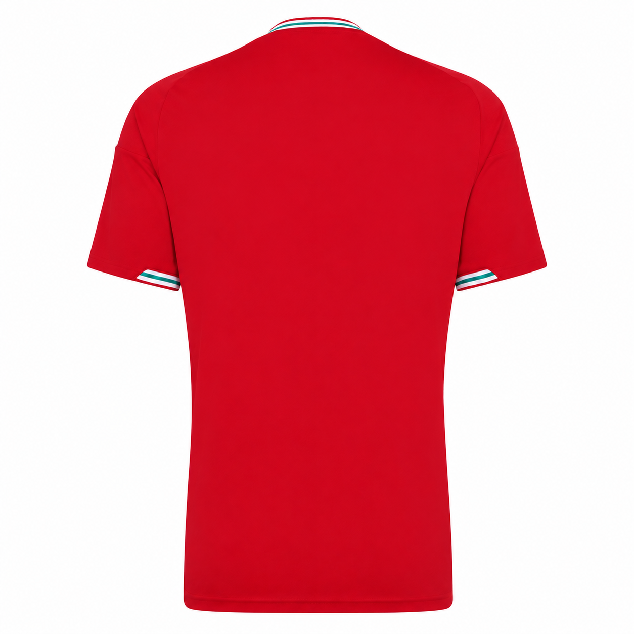 2026 Wales Home And Away Authentic Football Jersey For Women