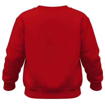 Autumn And Winter Stylish Fleece Sweatshirt For Boys