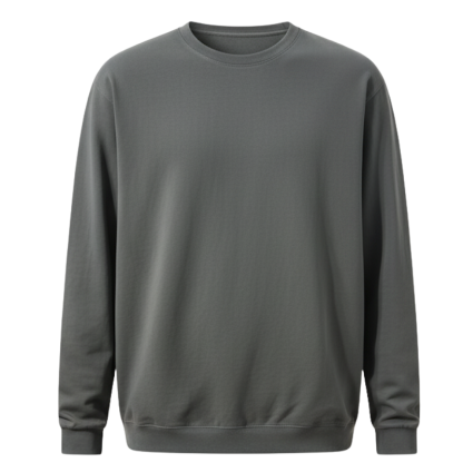 Men Heavyweight Long Sleeve  Sweatshirts