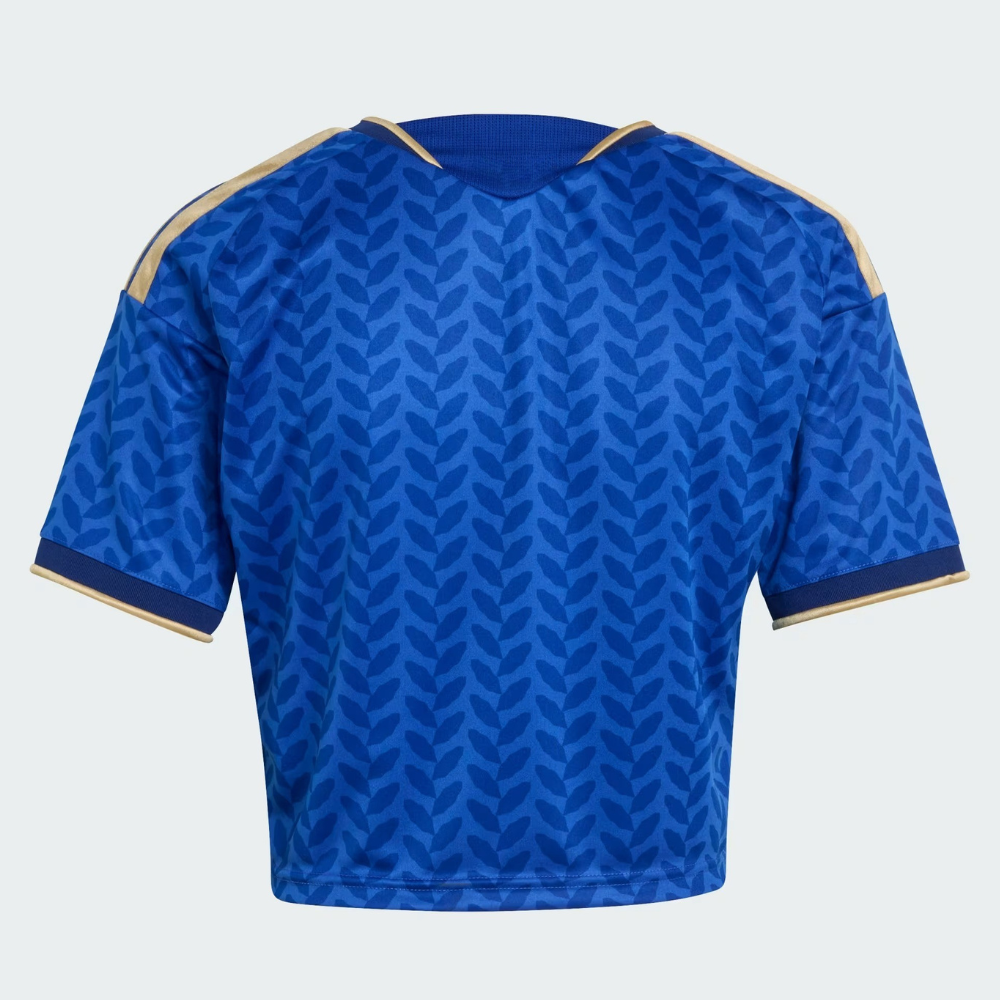 Italy FIFA World Cup 26  Soccer Jersey For Men