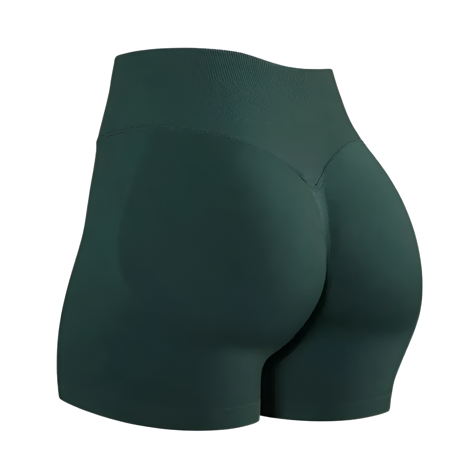 Seamless High Rise Workout Shorts For Women