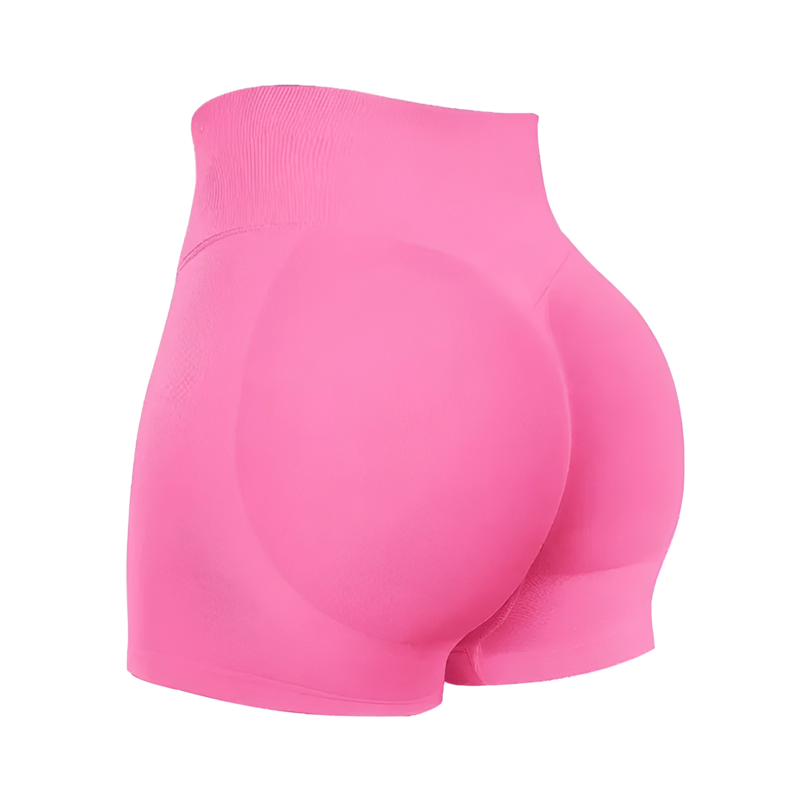 Seamless High Rise Workout Shorts For Women