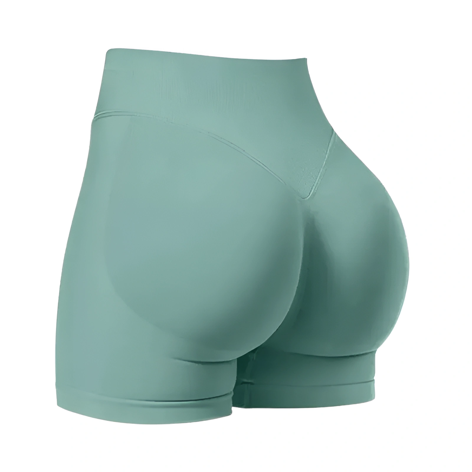 Seamless High Rise Workout Shorts For Women