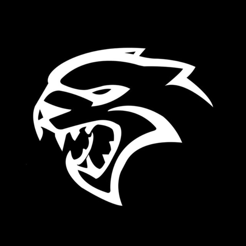 Set Of 2 Dodge Charger Door Projector Light-Car Door Sills