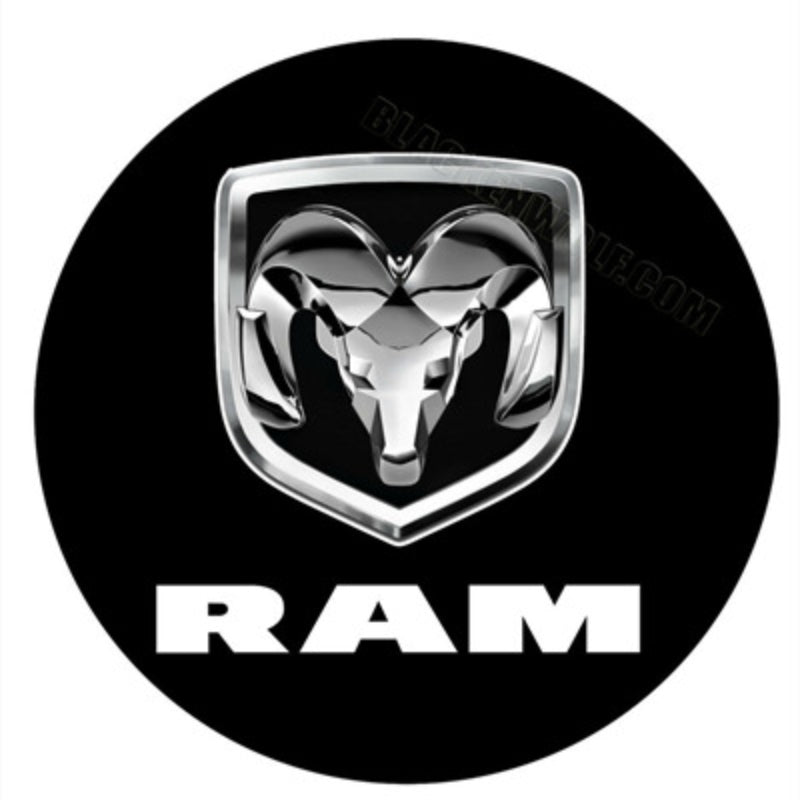 Set Of 2 Dodge Charger Door Projector Light-Car Door Sills