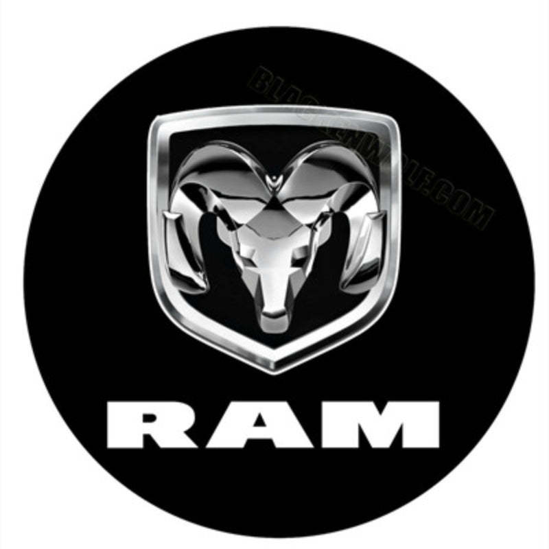 Set Of 2 Dodge Charger Door Projector Light-Car Door Sills