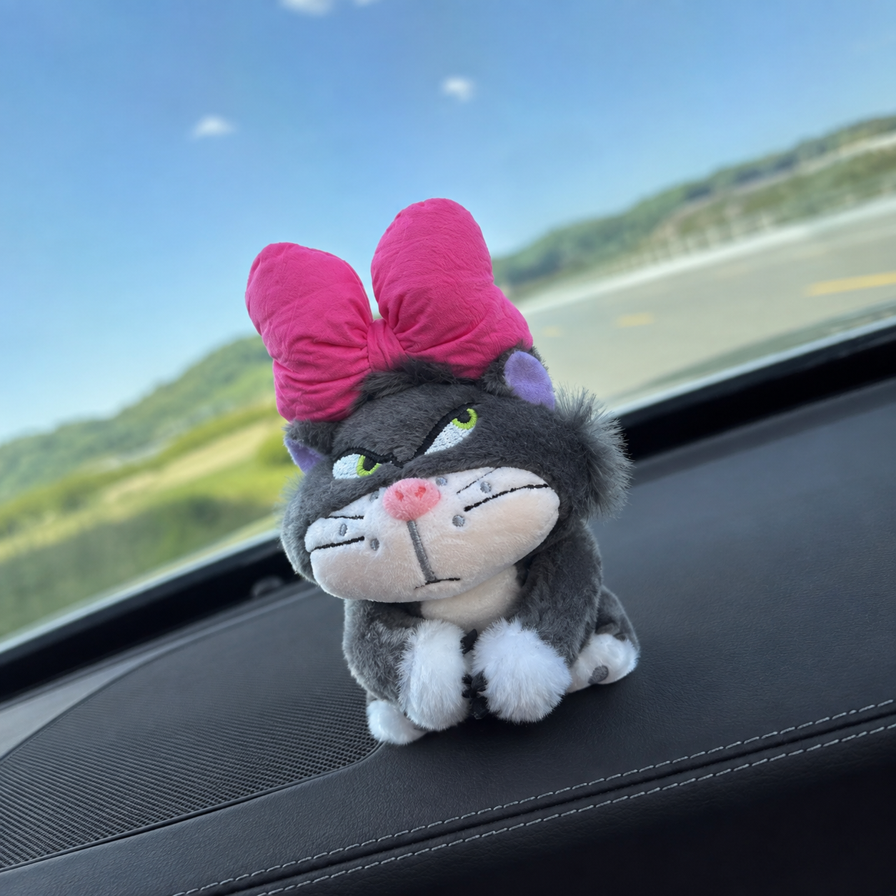 Console Car Interior Decoration Accessories For Girls