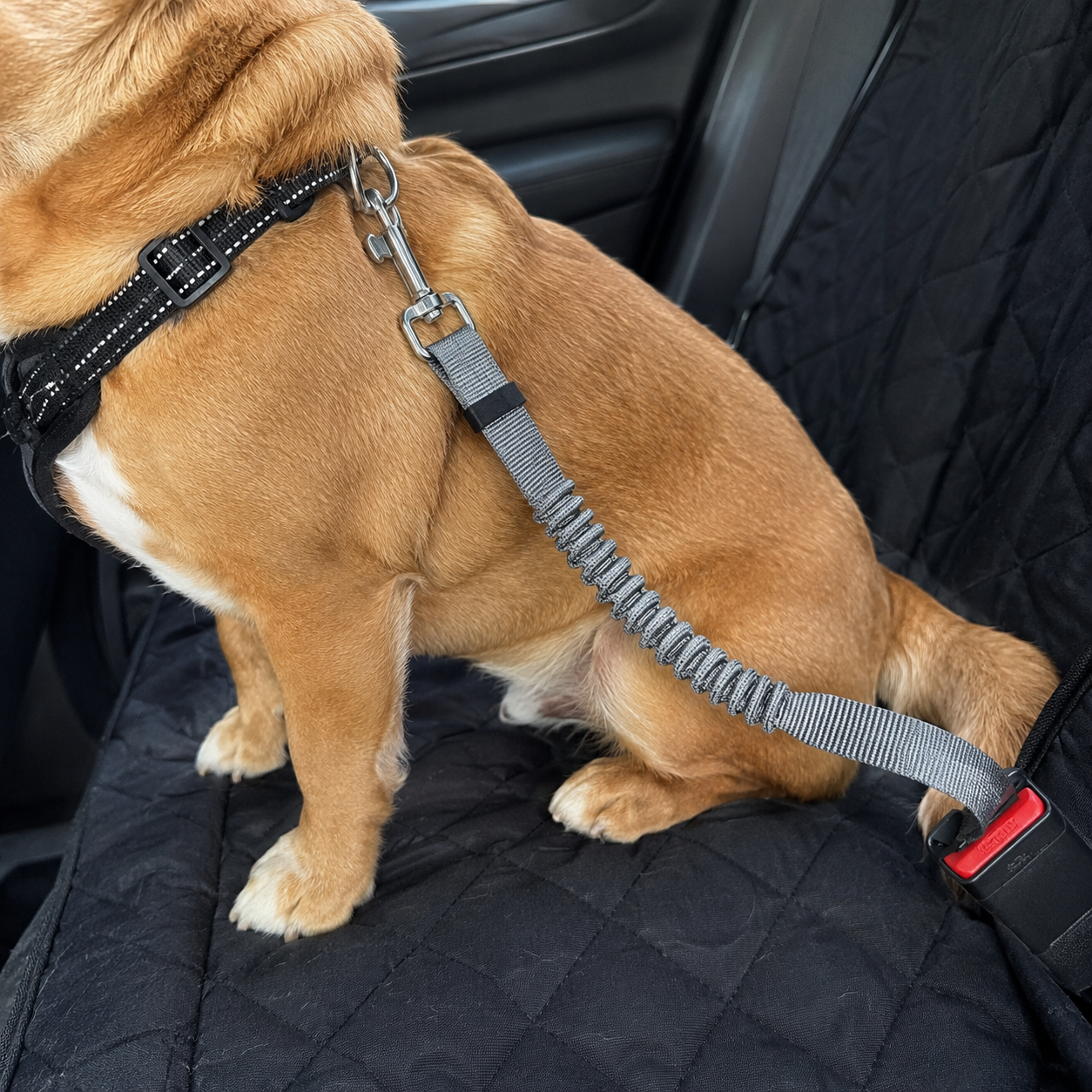 Retractable Pet Car Seat Belt Floral Travel Leash For Dogs And Cats