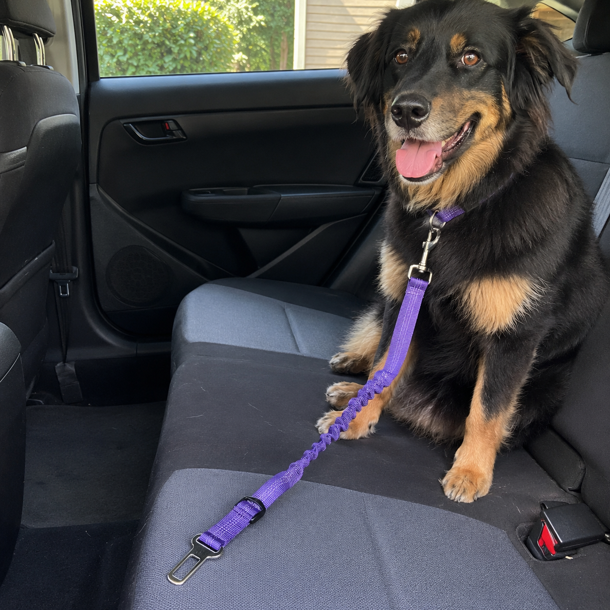 Retractable Pet Car Seat Belt Floral Travel Leash For Dogs And Cats