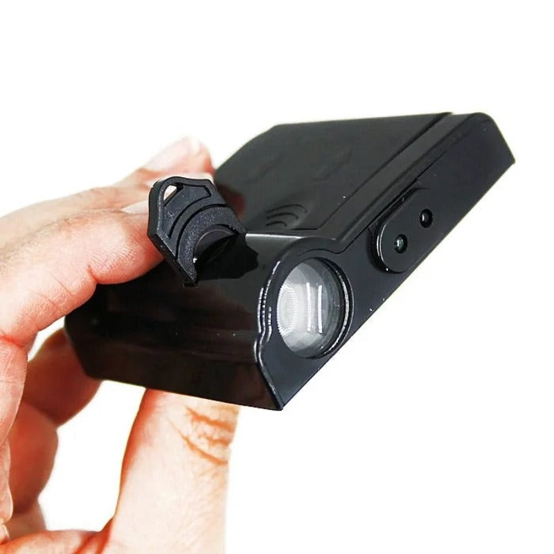 Set Of 2 Kings House Lights-Car Door Sills