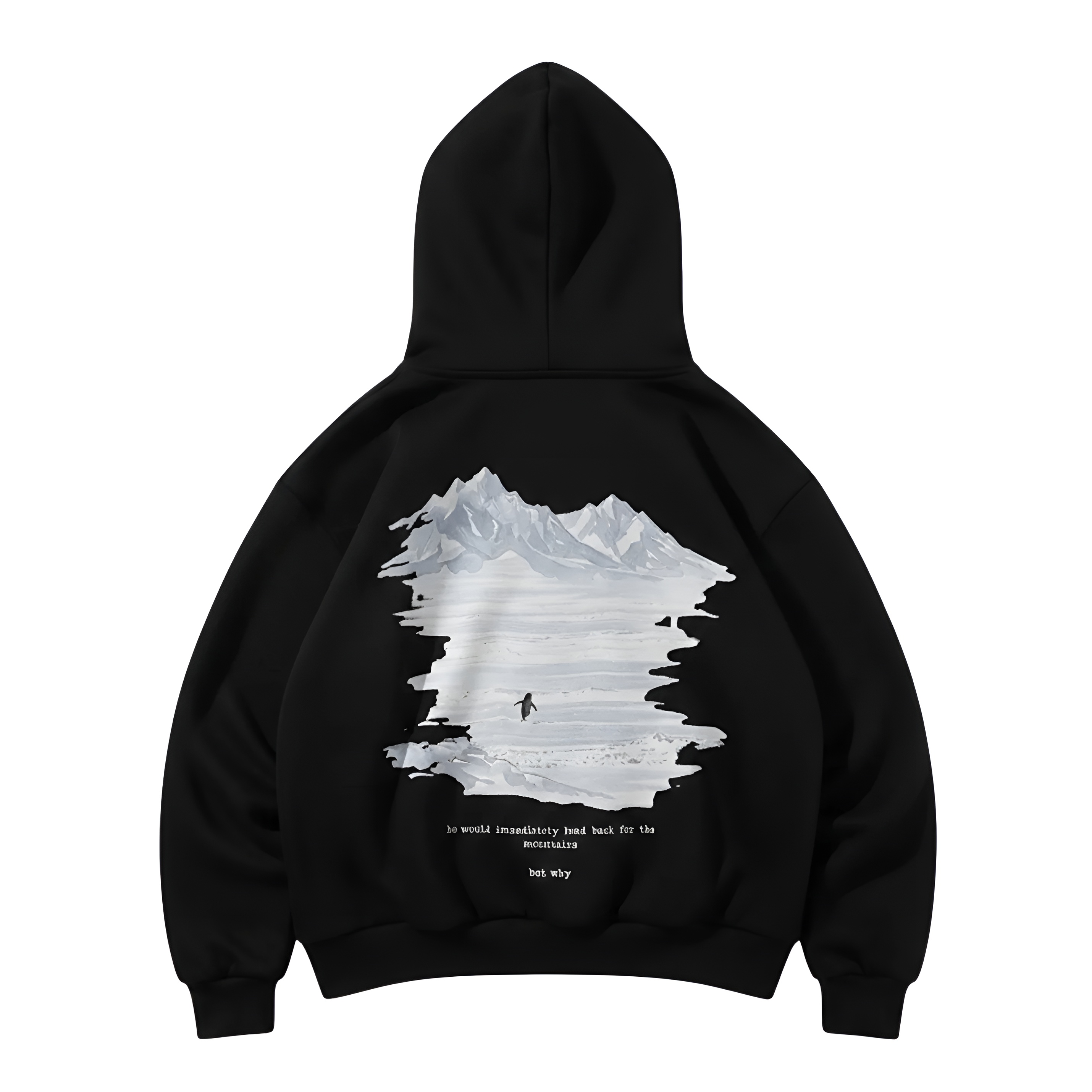 Penguin Graphic Printed Oversized Streetwear Hoodie