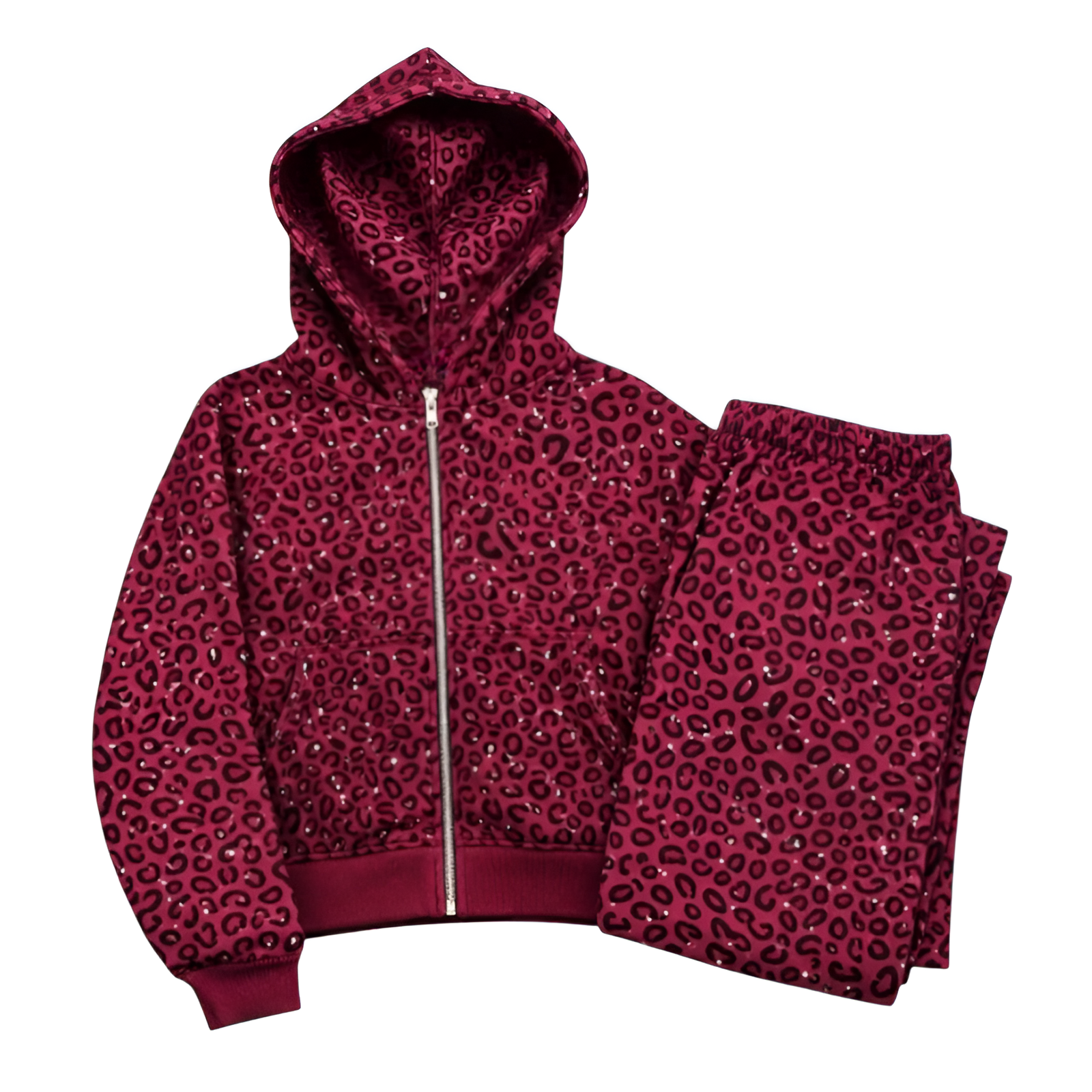 Casual Cheetah Print Zip Hoodie Lounge Set 