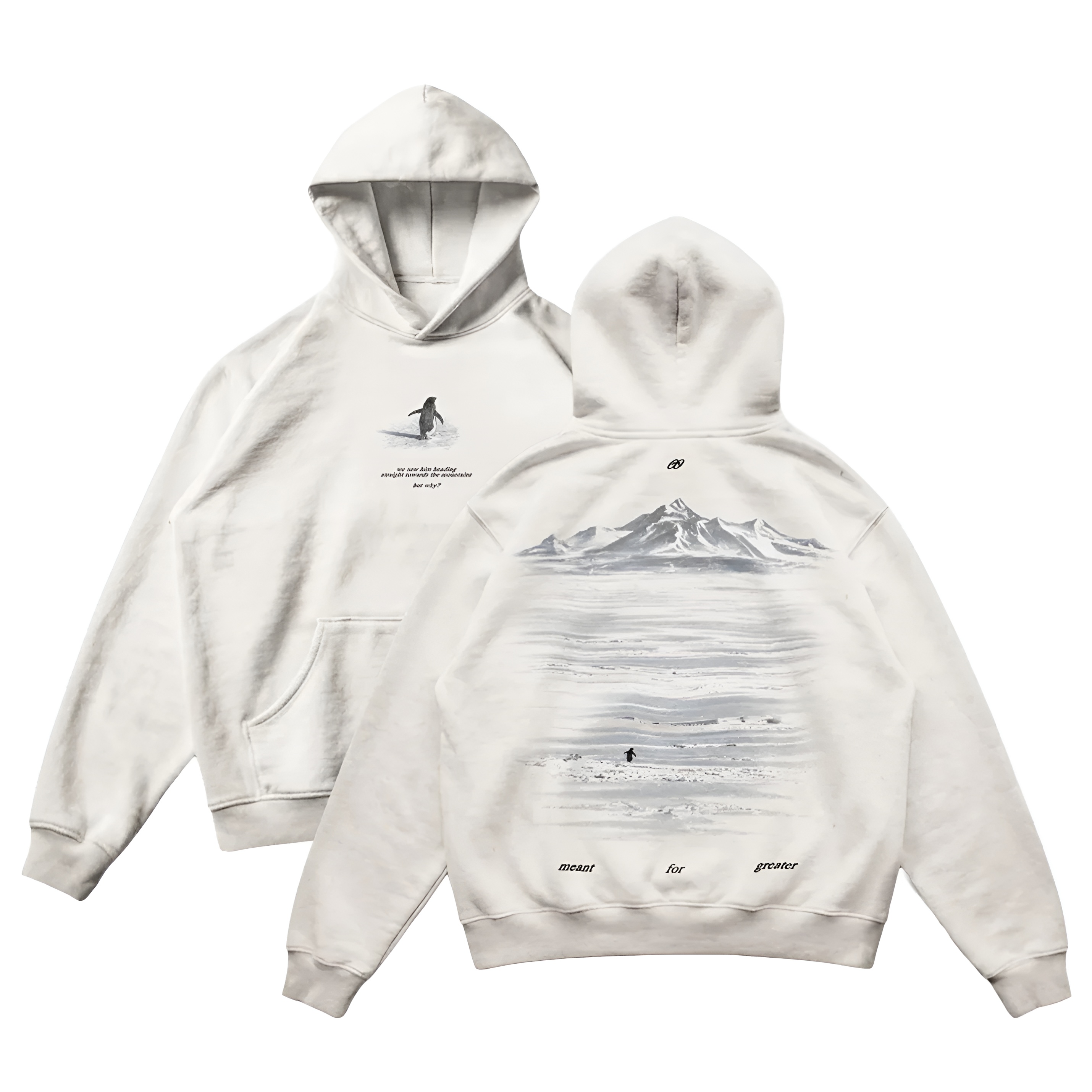 Penguin Graphic Printed Oversized Streetwear Hoodie