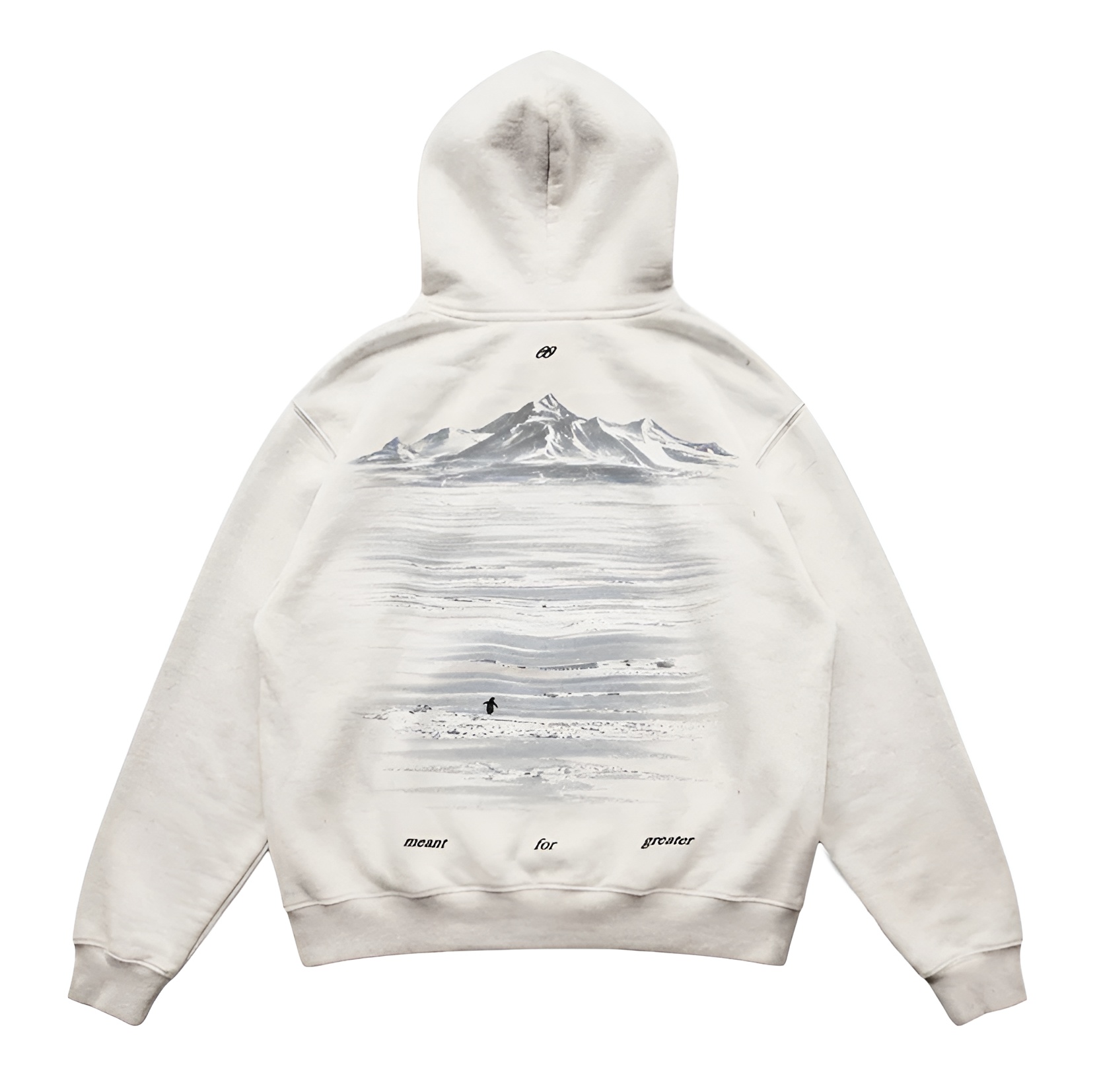 Penguin Graphic Printed Oversized Streetwear Hoodie