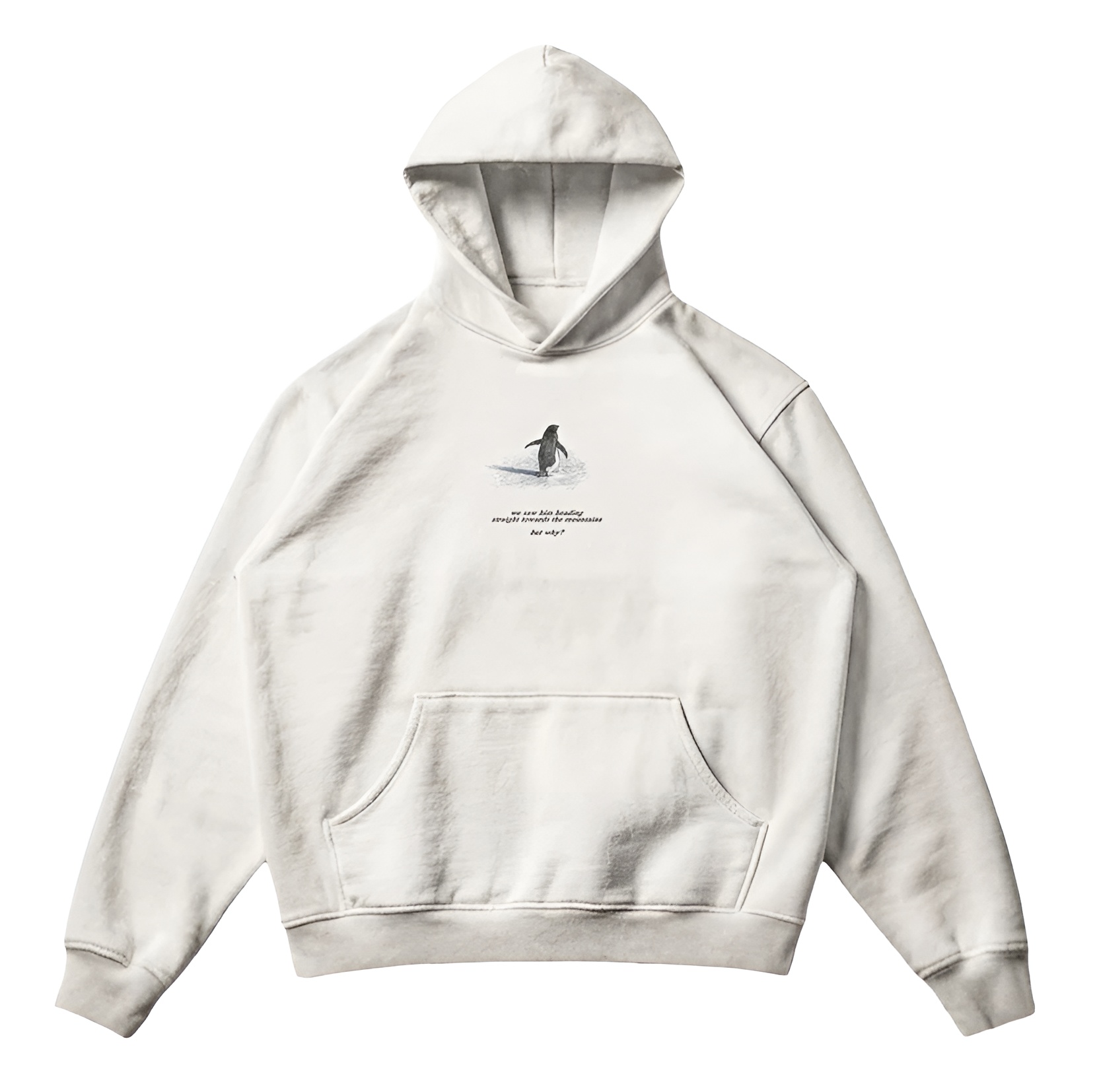 Penguin Graphic Printed Oversized Streetwear Hoodie