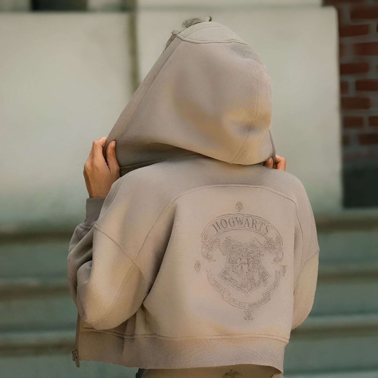 Everyday Fleece Soft Warm Lightweight Relaxed Fit Cropped Hoodie Sweatshirt