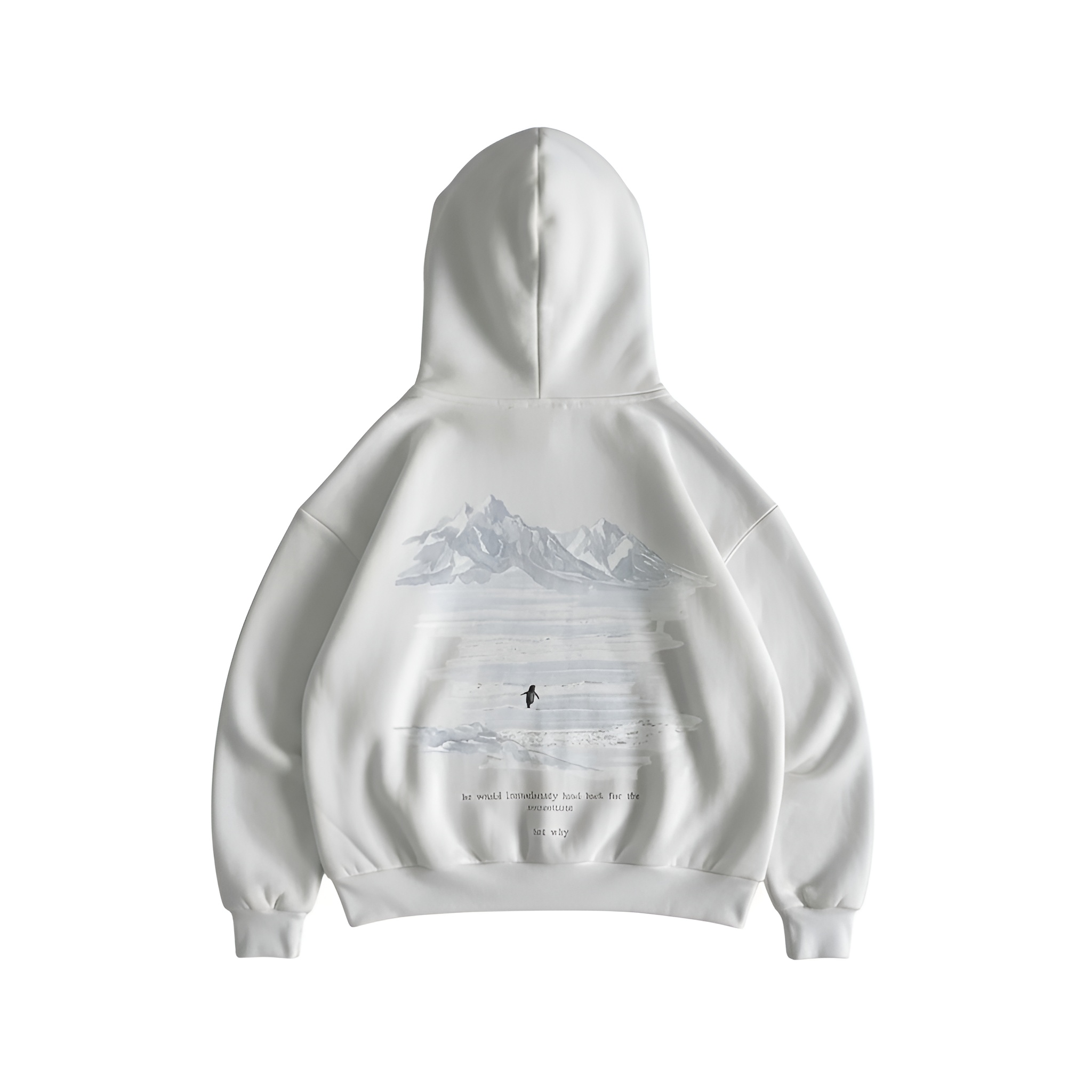 Penguin Graphic Printed Oversized Streetwear Hoodie