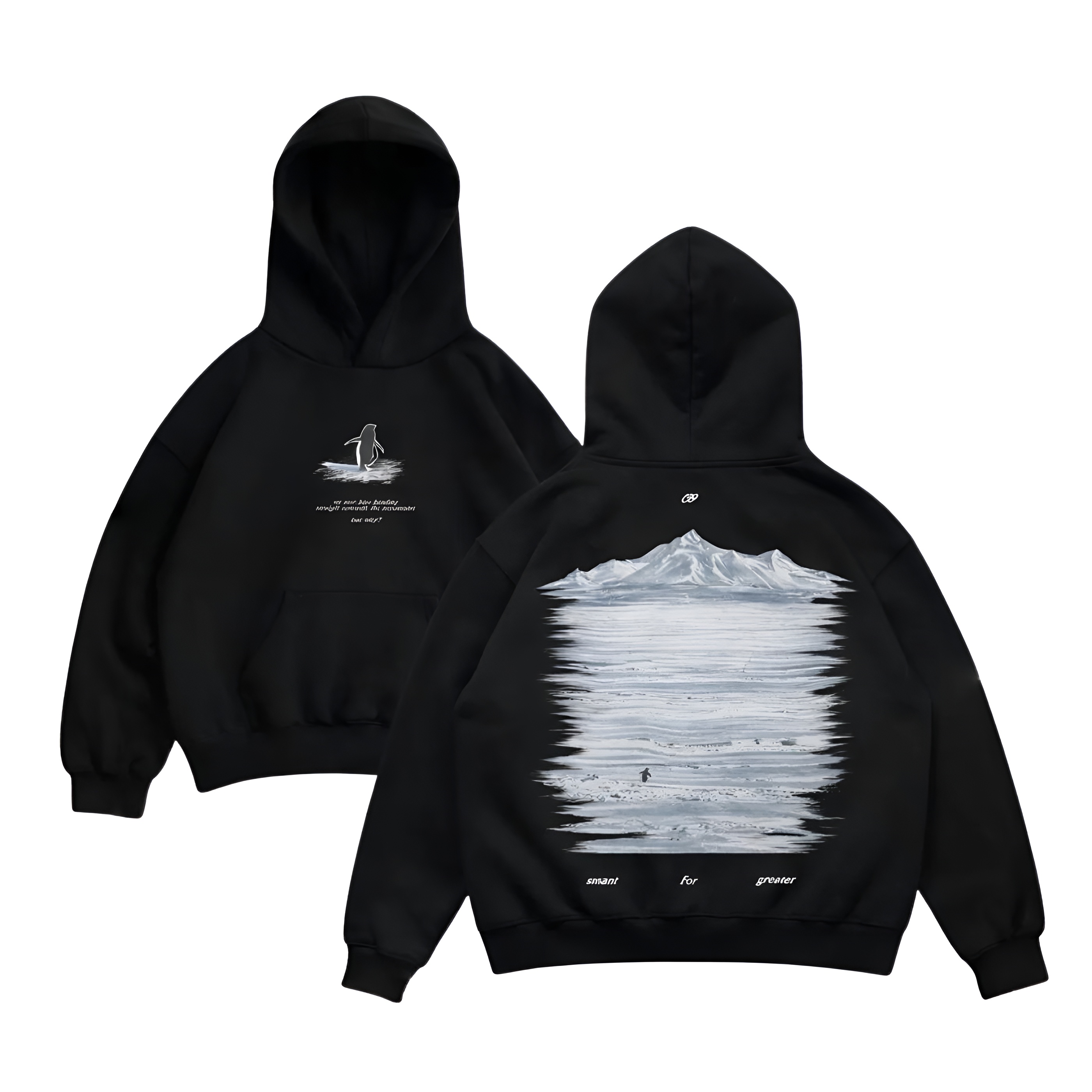 Penguin Graphic Printed Oversized Streetwear Hoodie