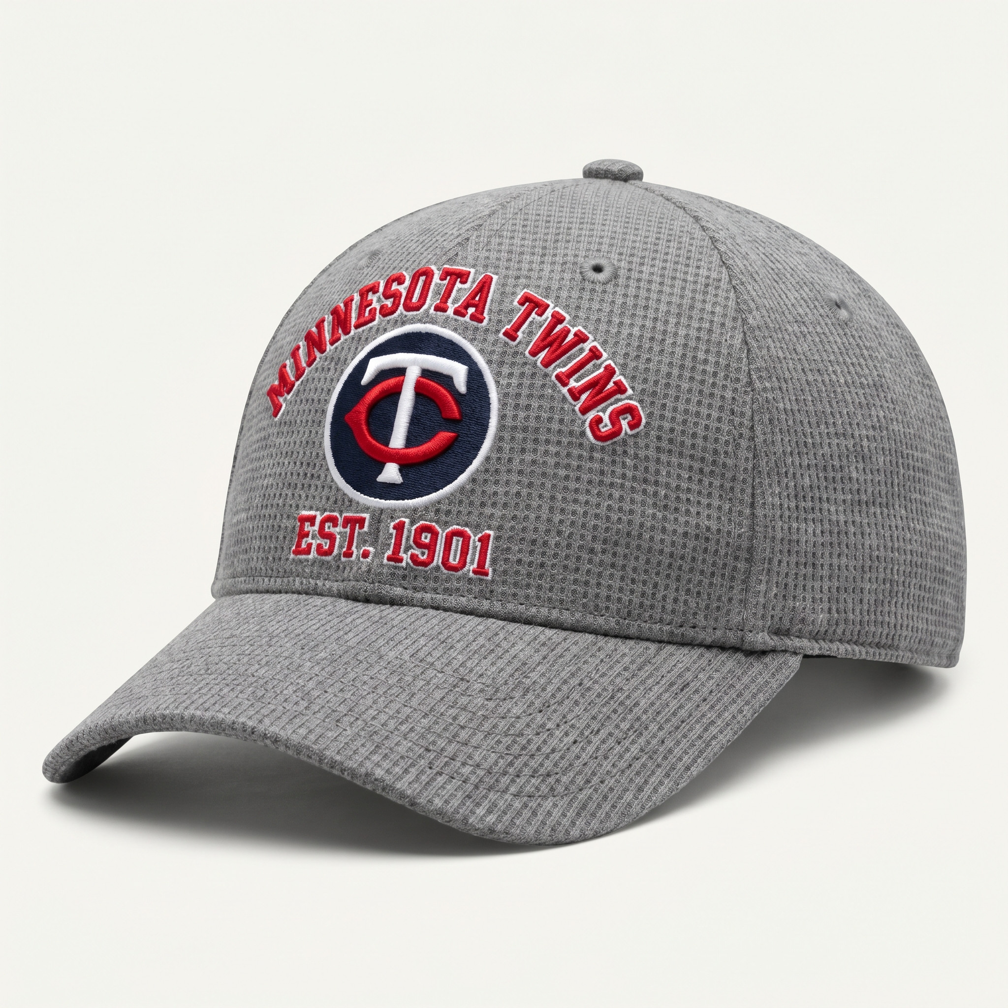 Minnesota Twins Waffle Knit Cap in Gray