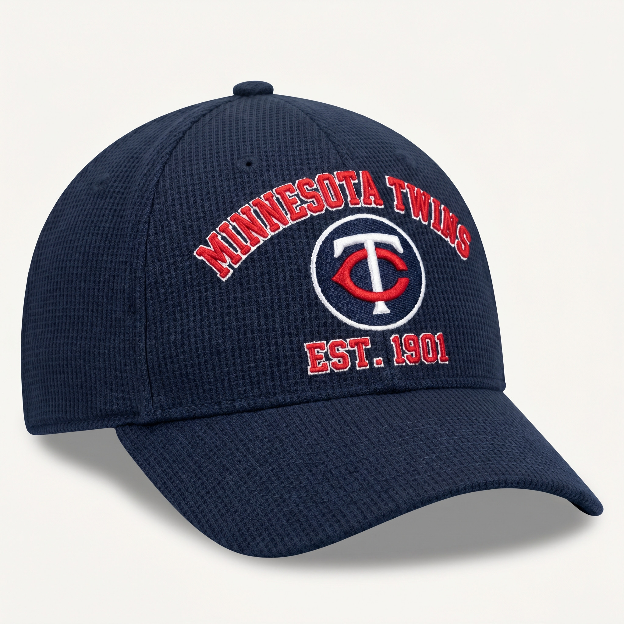 Minnesota Twins Waffle Knit Cap in Blue