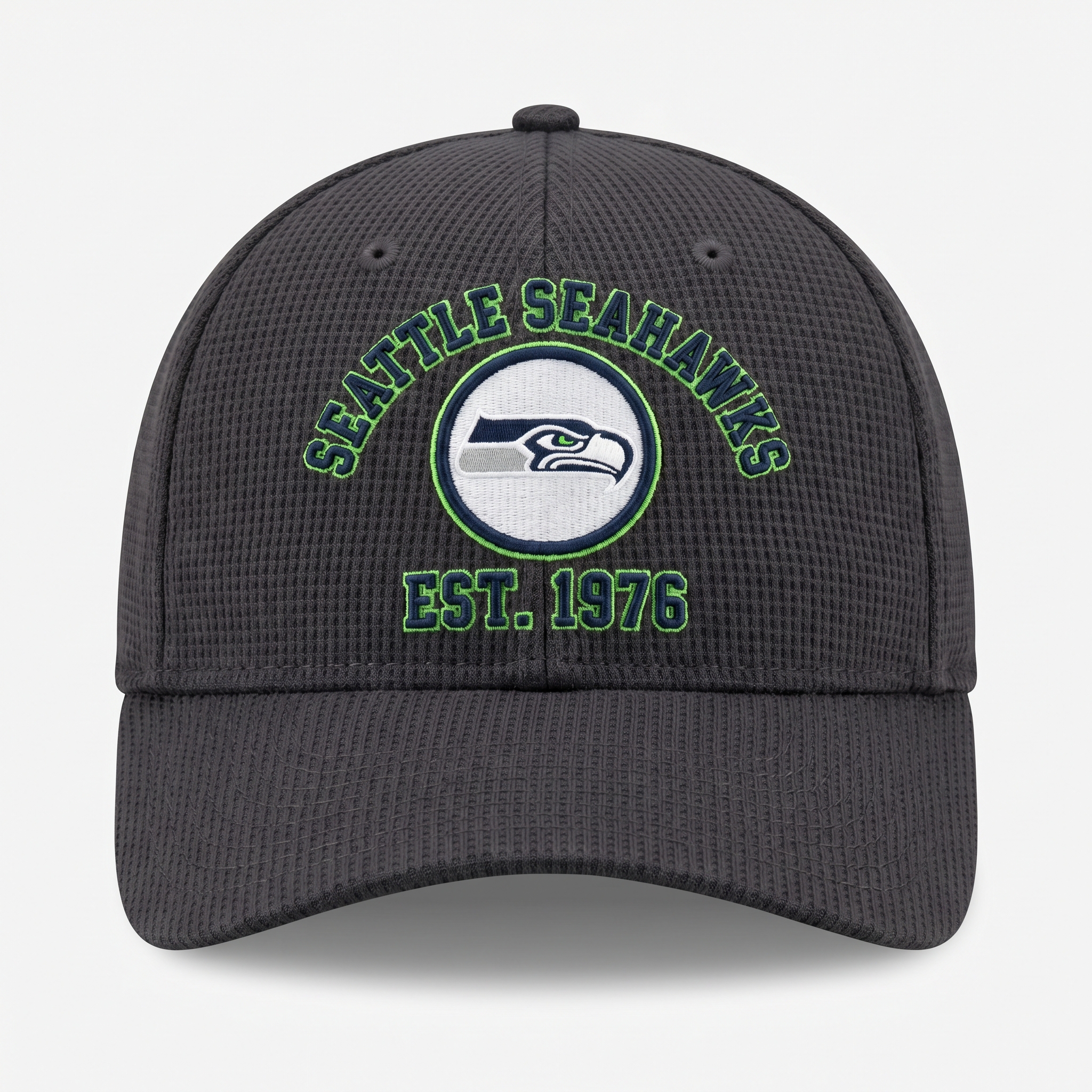 Seattle Seahawks Waffle Knit Cap in Dark Gray