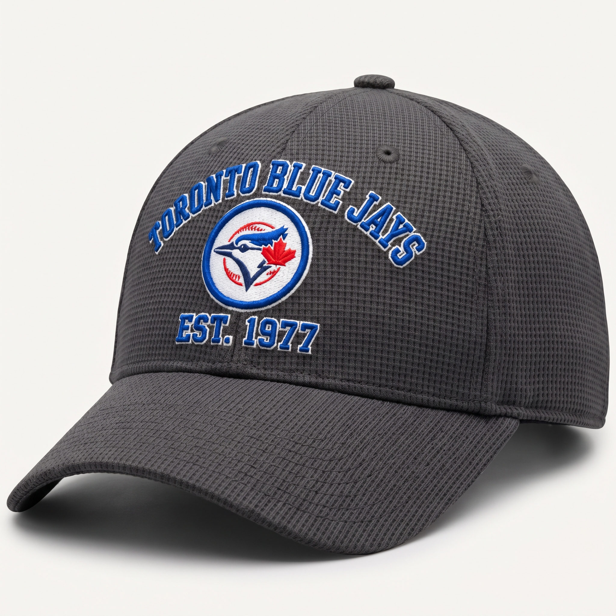 Toronto Blue Jays Waffle Knit Cap in Dark Gray