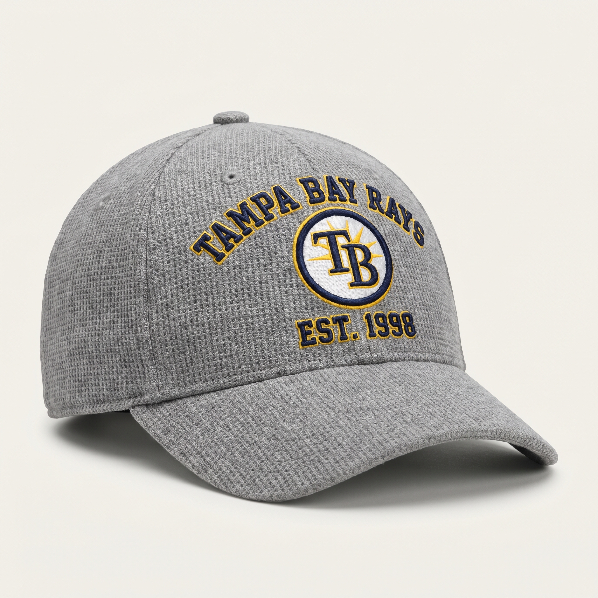 Tampa Bay Rays Waffle Knit Cap in Gray