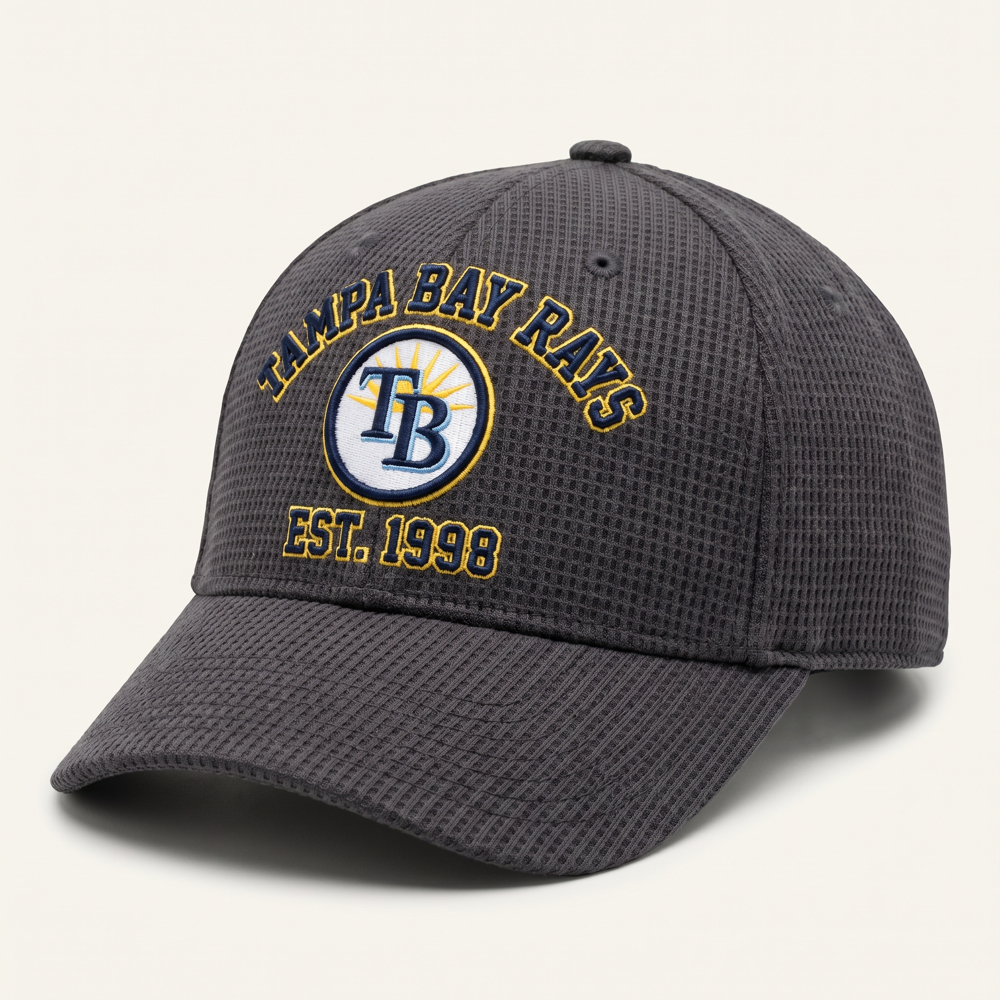 Tampa Bay Rays Waffle Knit Cap in Dark Gray