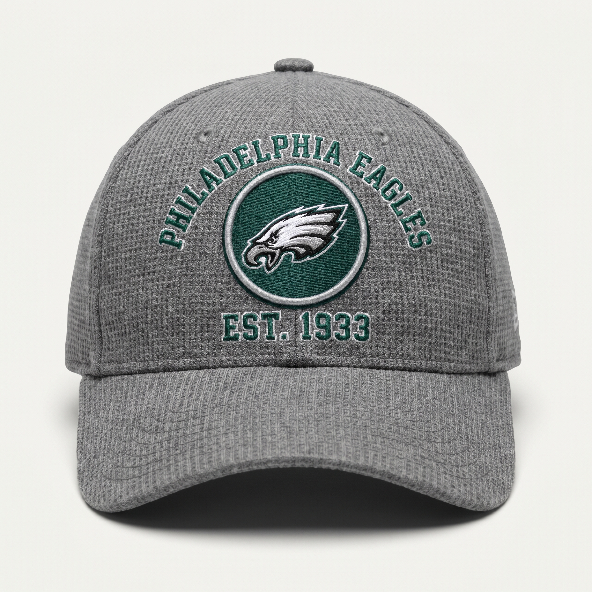 Philadelphia Eagles Waffle Knit Cap in Gray