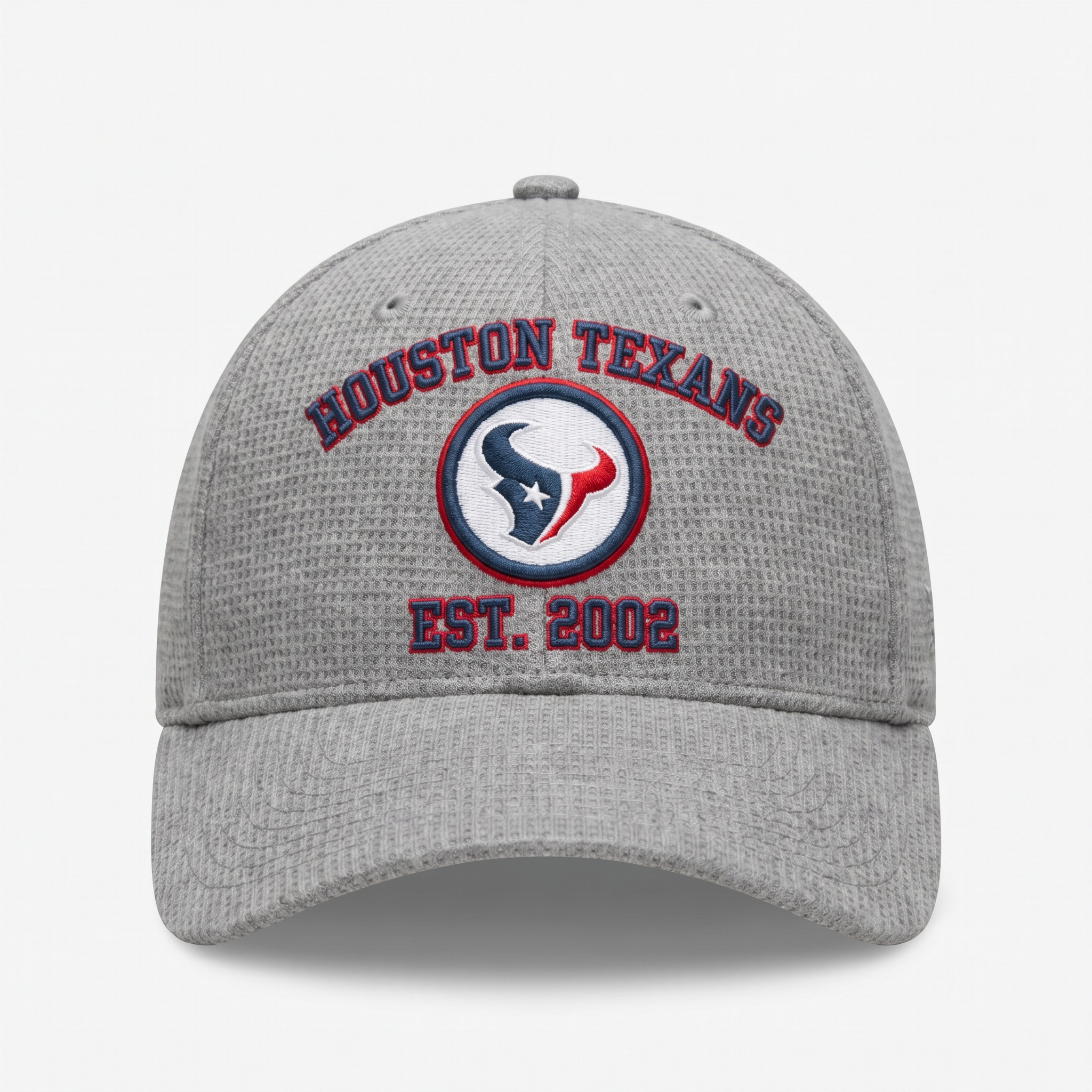 Houston Texans Waffle Knit Cap in Gray
