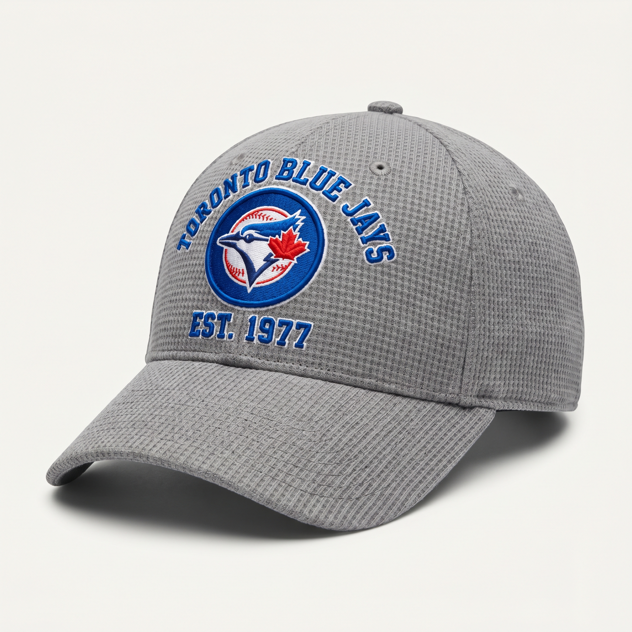 Toronto Blue Jays Waffle Knit Cap in Gray