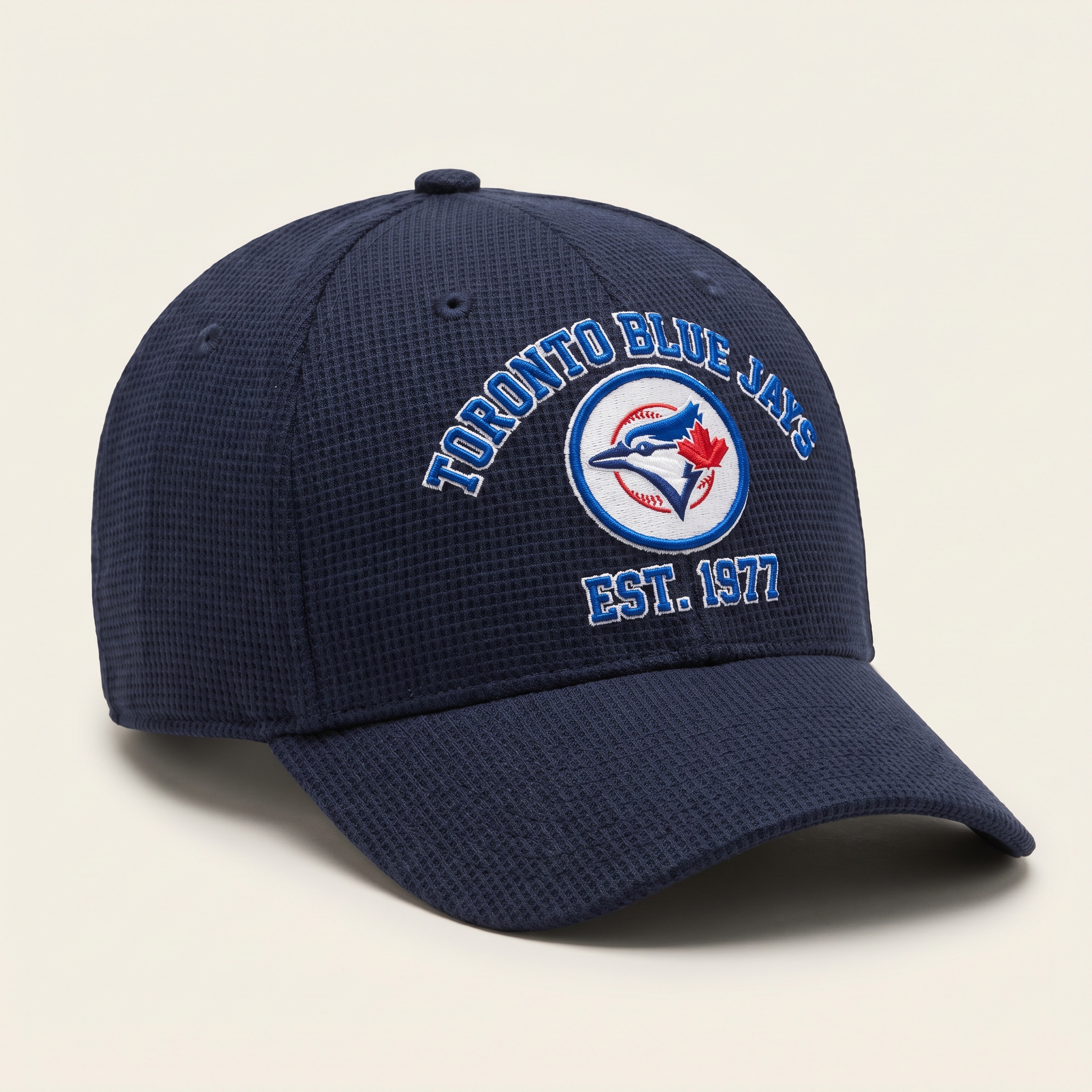 Toronto Blue Jays Waffle Knit Cap in Blue