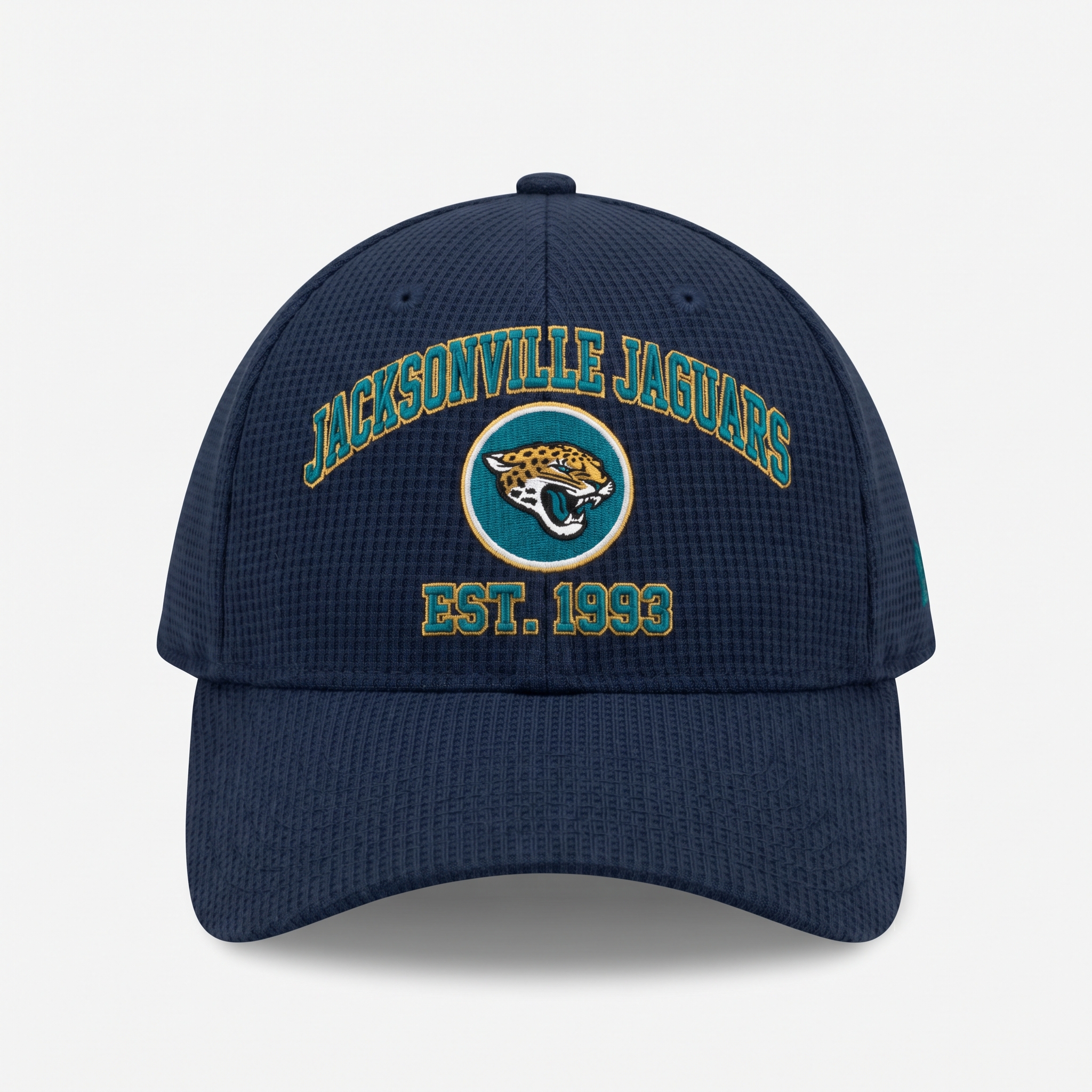 Jacksonville Jaguars Waffle Knit Cap in Blue